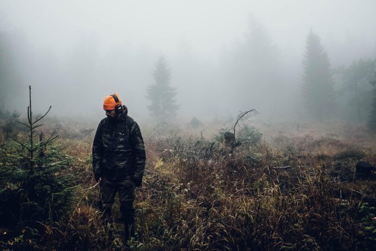 fredrik-ohlander-zFCnmzG8cXA-unsplash-scaled-1.jpg