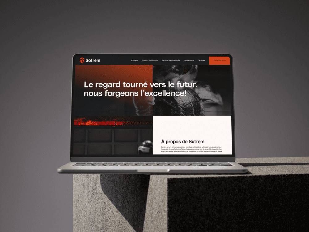 Site web